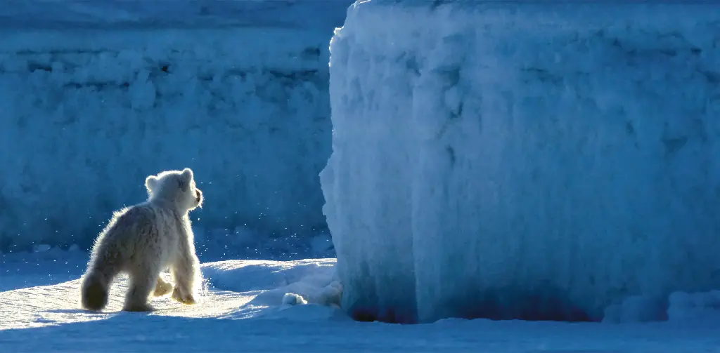 GEO-XXL-Postkarte »Lehrjahre«