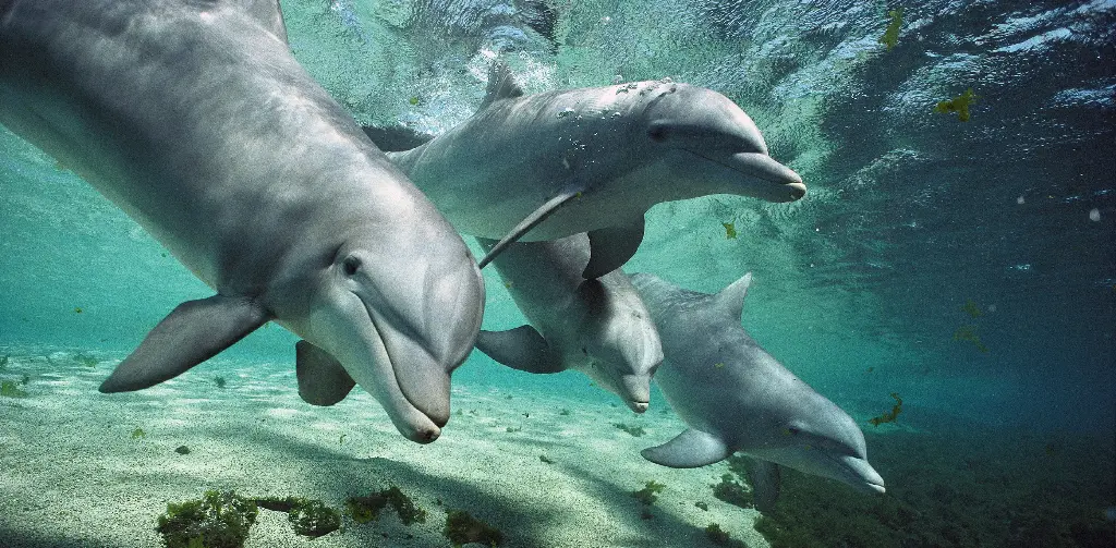 GEO-XXL-Postkarte »Scheinlächeln«