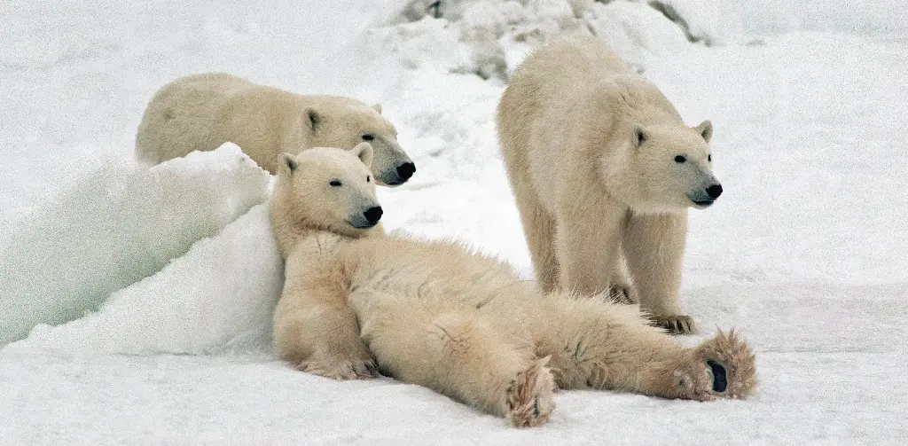 GEO-XXL-Postkarte »Coole Typen«