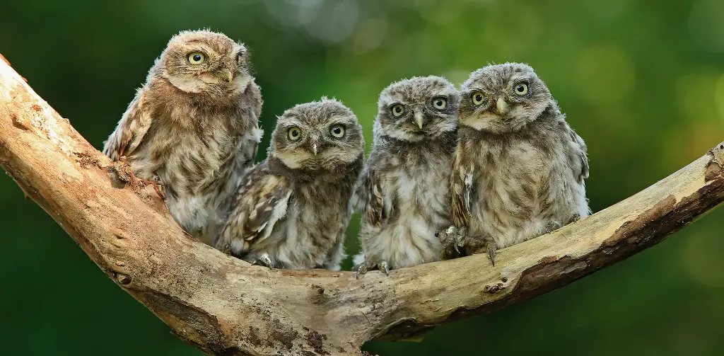 GEO-XXL-Postkarte »Augen-Blick«