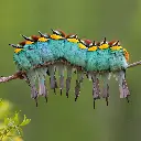 GEO-Doppelkarte »Freunde der Wärme«