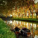 GEO-Doppelkarte »Baumspalter«