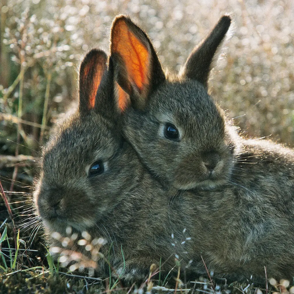 BK-Doppelkarte »Stimmungsvoll«