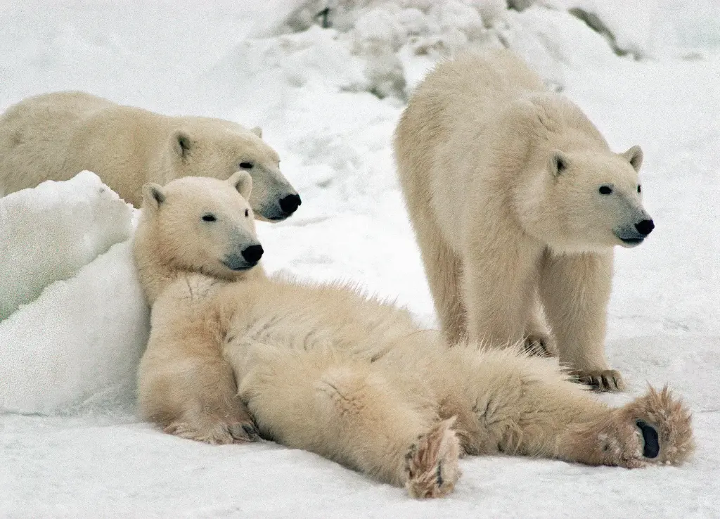 GEO-A6-Postkarte »Coole Typen«