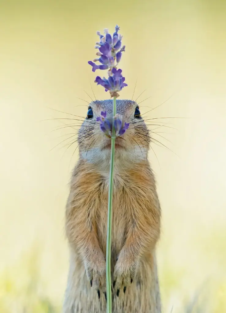 GEO-A6-Postkarte »Blumenkind«