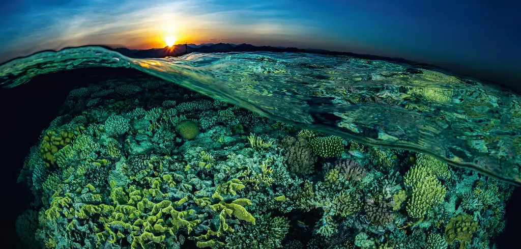 BK-XXL-Planet Ozean-Postkarte »Flaches Riff in Ägypten im Sonnenuntergang«