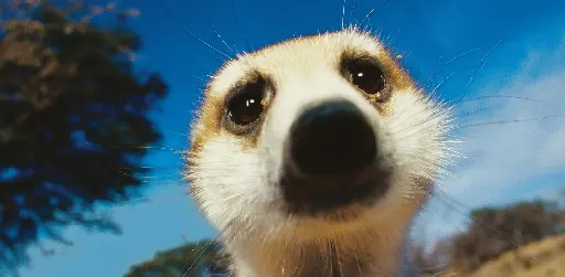 [GEO-XXL-211085] GEO-XXL-Postkarte »Höhlenbewohner«