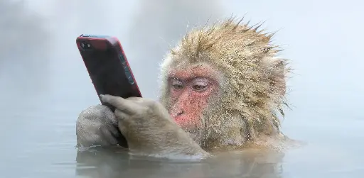 [GEO-XXL-211374] GEO-XXL-Postkarte »Nachahmer«