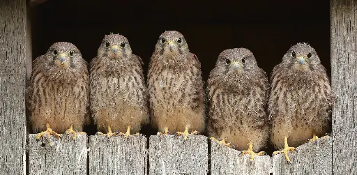 [GEO-XXL-211468] GEO-XXL-Postkarte »Startbereit«