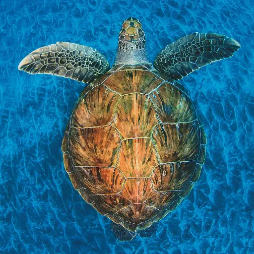 [GEO-DK-212084] GEO-Doppelkarte »Vom Aussterben bedroht«