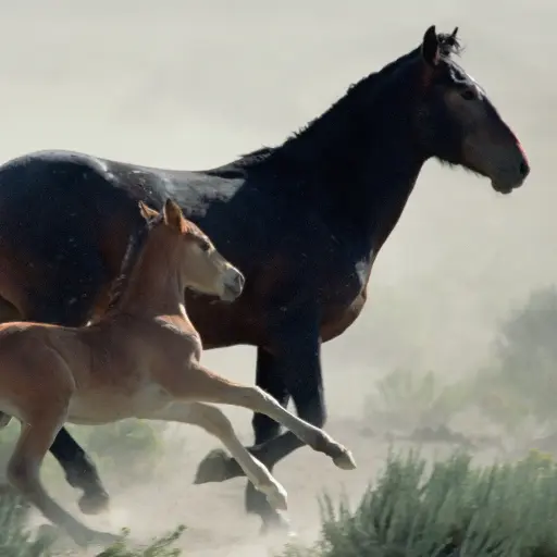 [GEO-DK-212098] GEO-Doppelkarte »Mutterbeziehung«