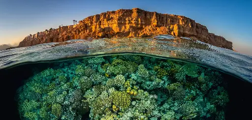 [BK-XXL-411038] BK-XXL-Planet Ozean-Postkarte »Riff unter der Oberfläche, Ägypten«